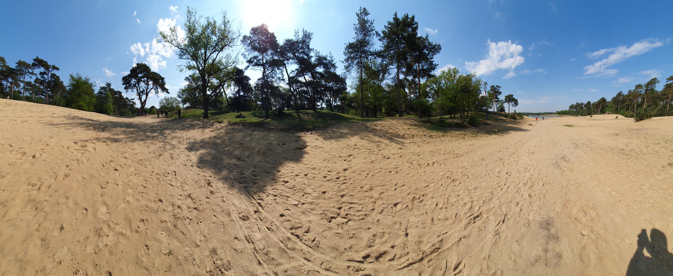 Vogelaars (Kampina). Foto van Johan Meijer.